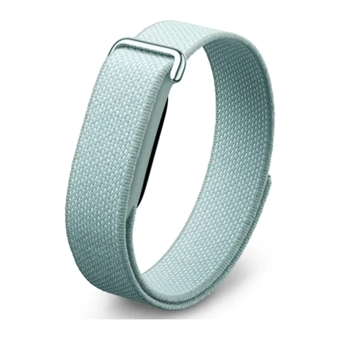 Google Fitbit Air