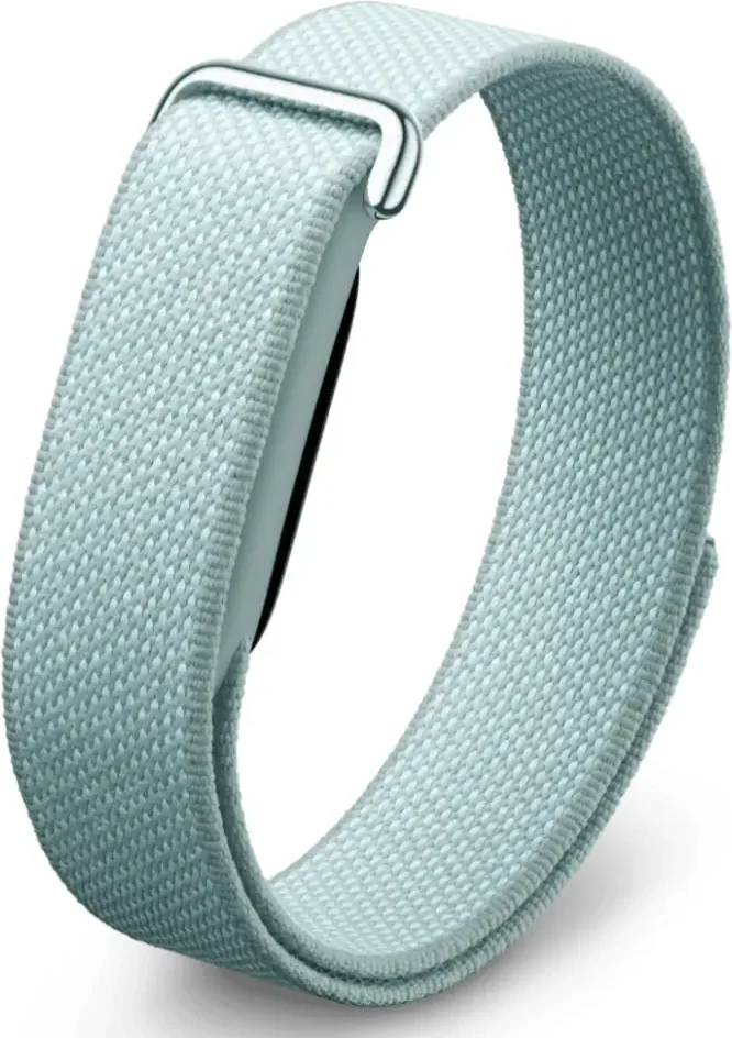 Google Fitbit Air