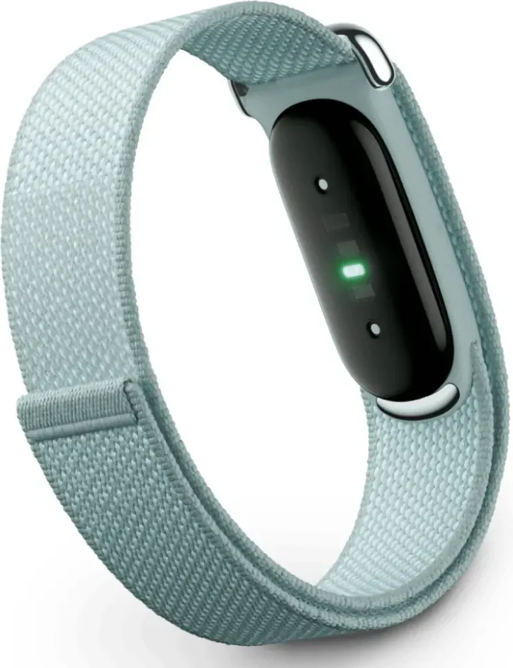 Google Fitbit Air